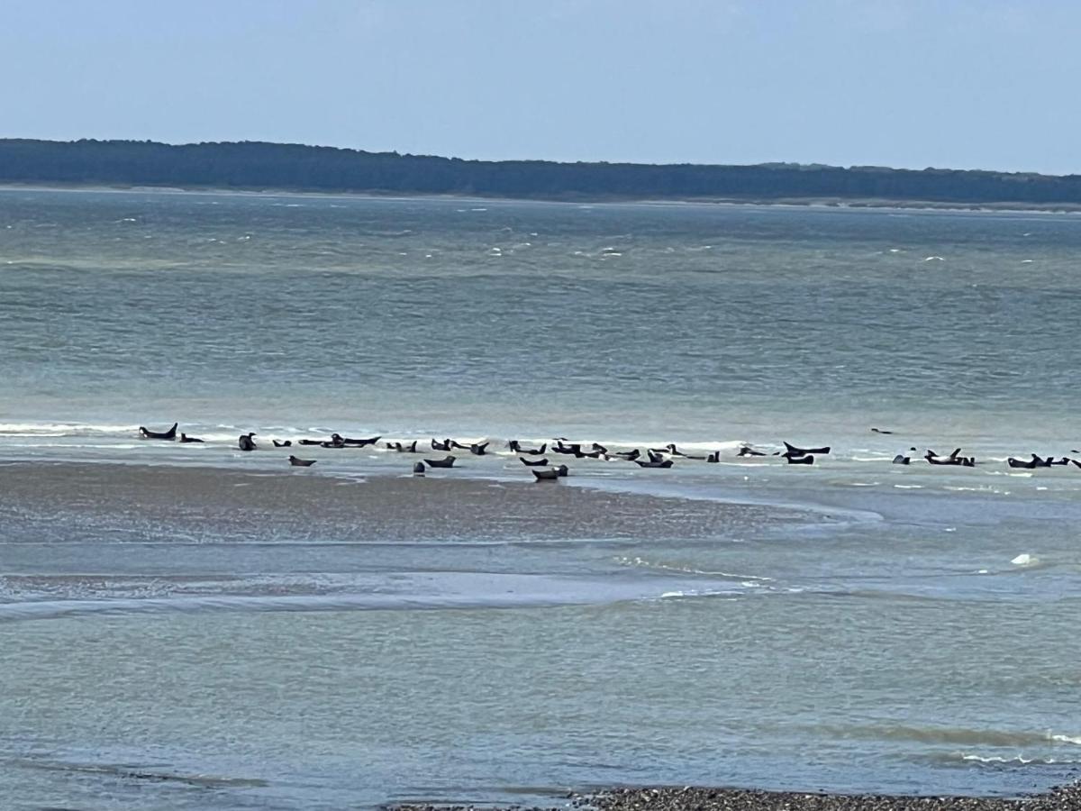 Plage A 50M Appartement Reves Tranquilles Villa Les Bains De Mers Exteriör bild